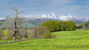 VTC Mont-de-Marsan